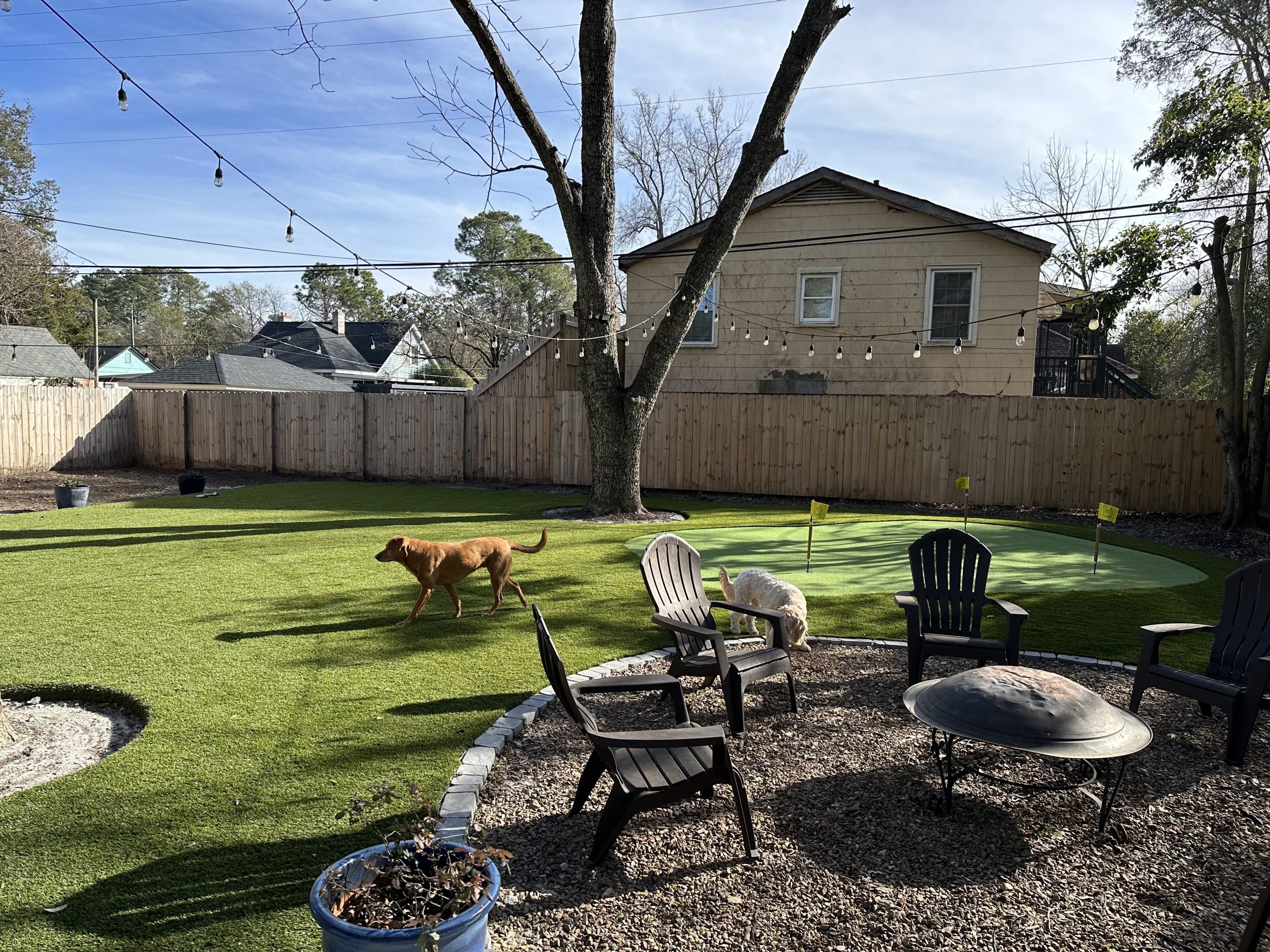 Backyard Artificial Grass 5