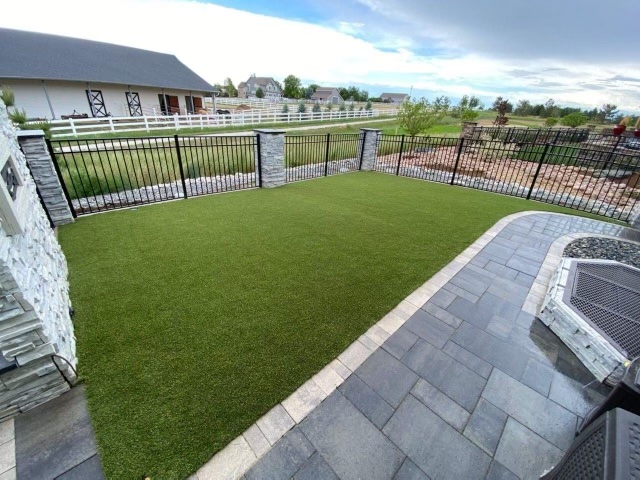 Denver Backyard Turf 2