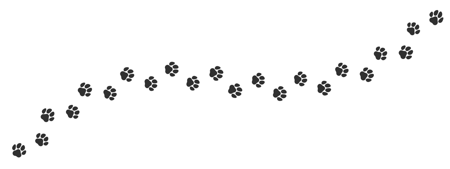 pawprints