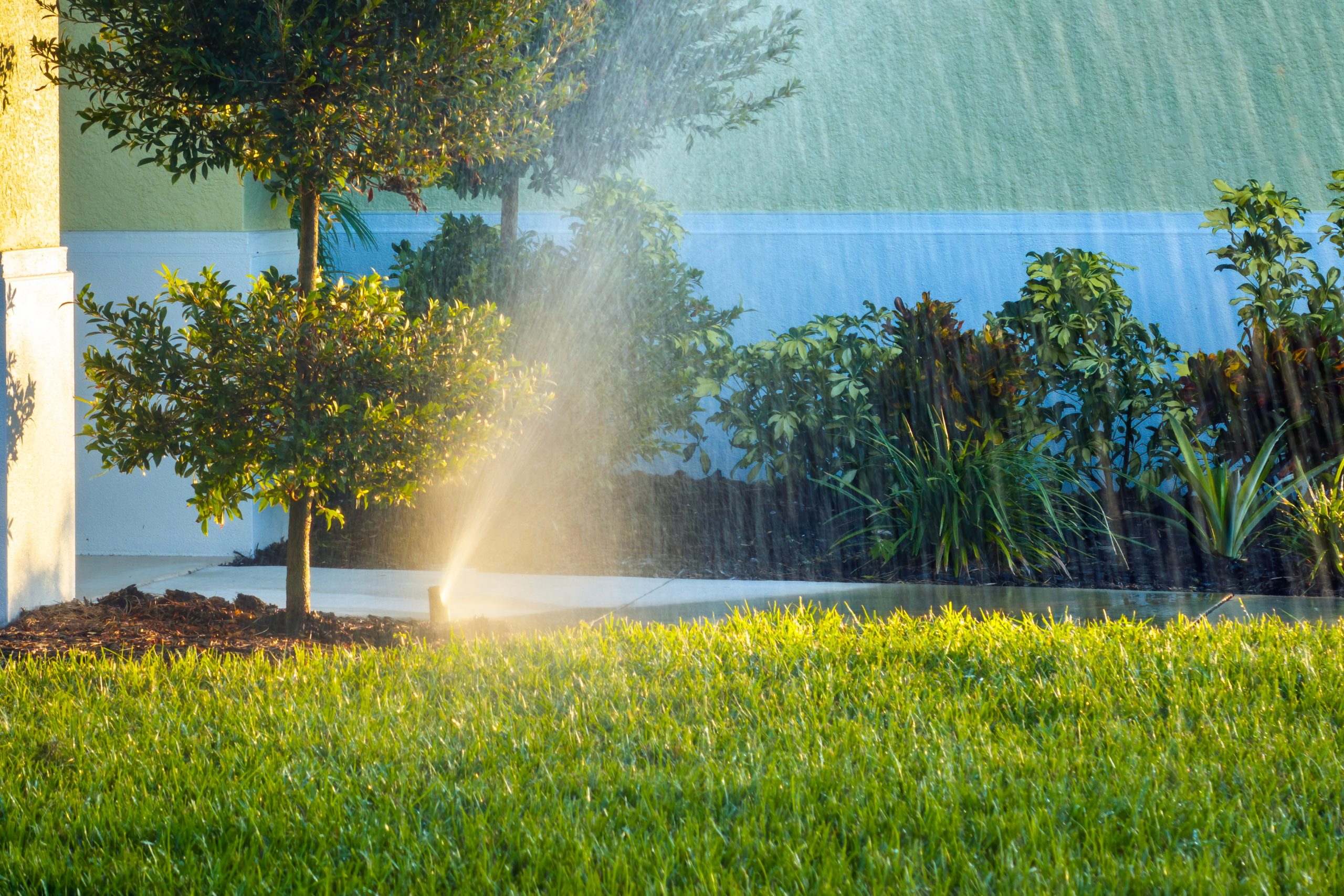 Artificial Turf Installation in Hilton Head