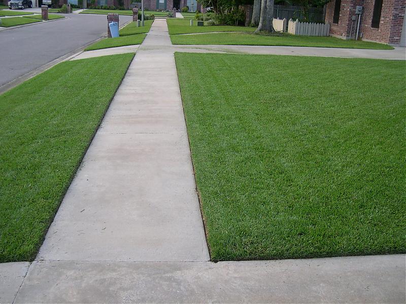 Concrete sidewalk runs between two green lawns along a quiet suburban street.