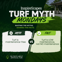 Infographic banner for Turf Myth Mondays showing a myth vs. fact comparison: 'Turf is maintenance-free' versus 'Turf is low maintenance, not NO maintenance' with green and dark backgrounds.