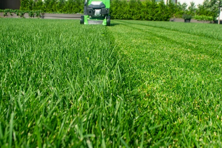 Green lawn being mowed by a green riding mower in the background, creating striped patterns in the grass.