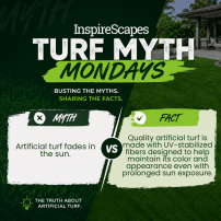 Infographic titled 'InspireScapes Turf Myth Mondays' compares a turf myth and a fact: left panel labeled 'MYTH' states 'Artificial turf fades in the sun.'; right panel labeled 'FACT' notes 'Quality artificial turf is made with UV-stabilized fibers designed to help maintain its color and appearance even with prolonged sun exposure.' Green grass background with brushed white and green accents.