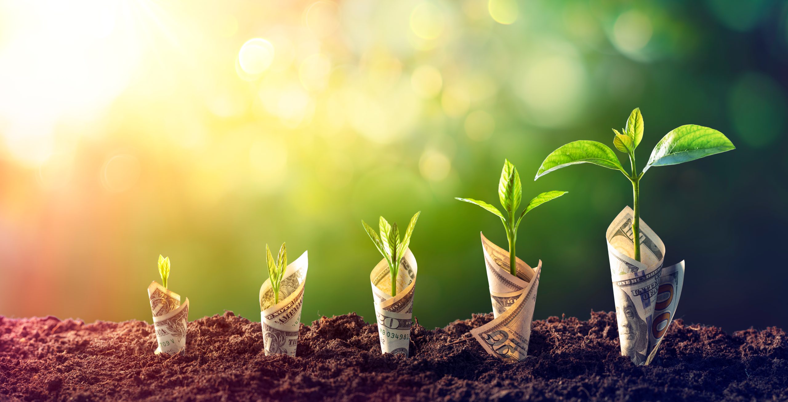 artificial turf cost Young plants sprouting from soil with dollar bills wrapped around their stems, symbolizing growth and investment