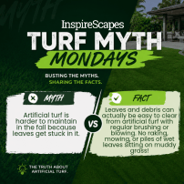 Infographic titled Turf Myth Mondays shows Myth vs. Fact about artificial turf maintenance with green grass background and two comparison panels.