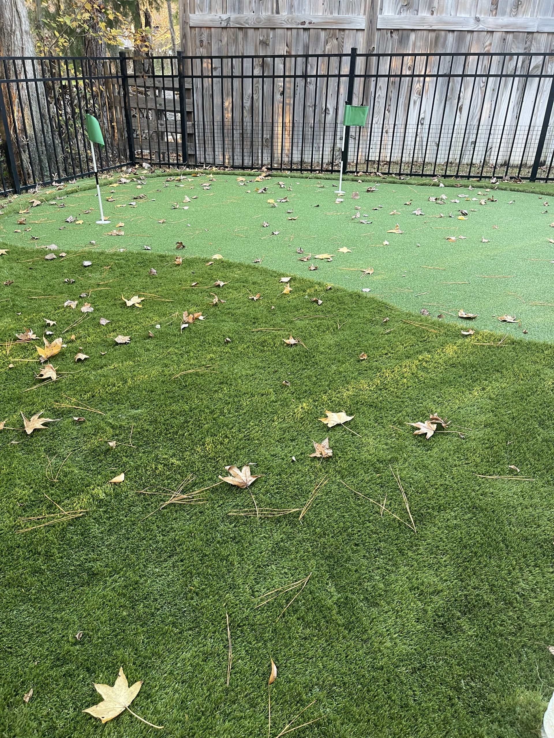 artificial turf leaves 2 Backyard putting green with two flagpins and a black metal fence, autumn leaves scattered on bright green turf.